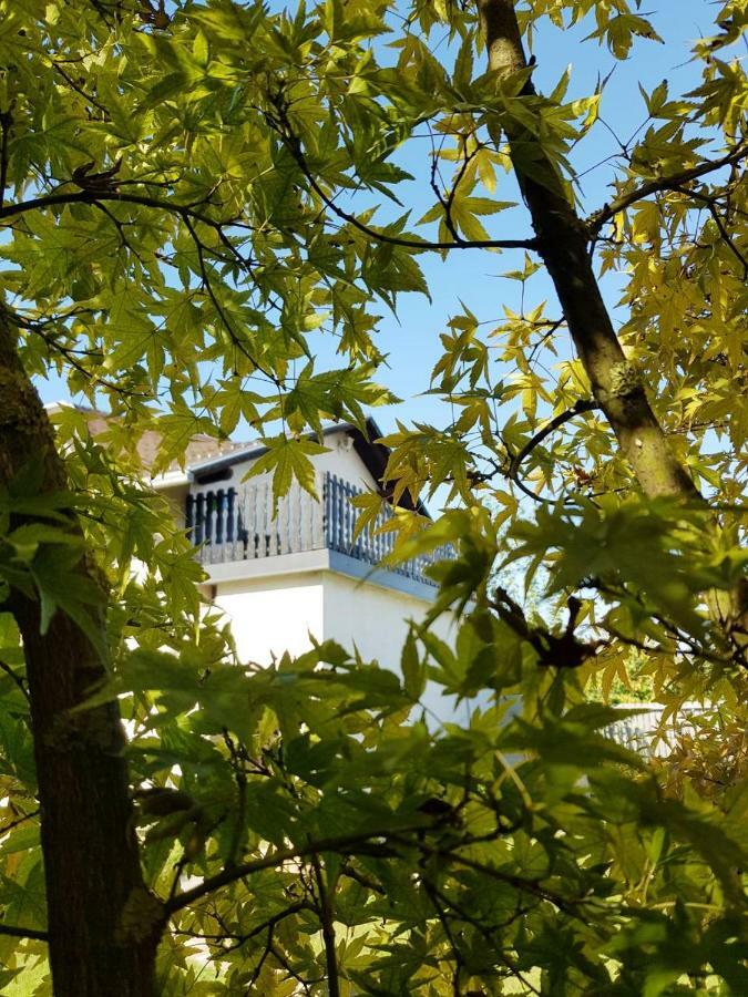 Studio Apartman Gradna Samobor Εξωτερικό φωτογραφία